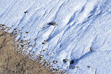 rocky snow mountain with small pond texture
