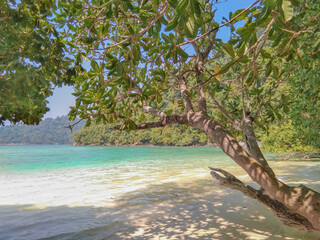 tropical beach in thailand