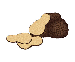 Truffle and Thin Slices as Subterranean Ascomycete Fungus Vector Illustration