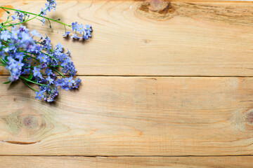 Blue small forget-me-nots flowers on a wooden background. The concept of eco style, natural texture. Space for text. Flatlay