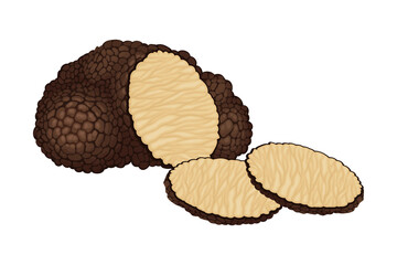 Truffle and Thin Slices as Subterranean Ascomycete Fungus Vector Illustration
