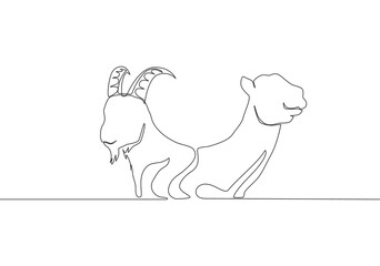 Single continuous line drawing of goat and camel head. Muslim holiday the sacrifice an animal such as goat, camel, sheep and cow, Eid al Adha greeting card concept one line draw design illustration