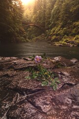 autumn in the mountains