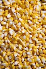corn seeds background. shot in natural light at home.