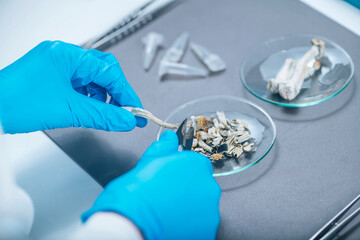 Laboratory Experiment, Preparing Micro Doses Psilocybin, a Derivative from of Magic Mushrooms