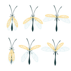 Set of simple flat dragonfly with different wings collection insects flat vector illustration isolated on white background