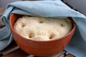 leavened dough in a clay bowl