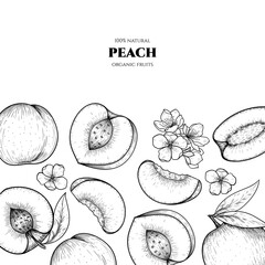 Vector frame with peach. Hand drawn. Vintage style
