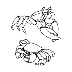 set of funny crabs with claws, for decorative ornaments & patterns, vector illustration with black ink contour lines isolated on white background in doodle & hand drawn style