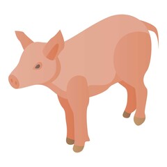 Farm pig icon. Isometric of farm pig vector icon for web design isolated on white background