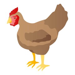 Farm chicken icon. Isometric of farm chicken vector icon for web design isolated on white background