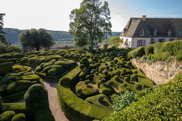  Topiary in the gardens of the Jardins de Marqueyssac in the Dordogne region of France