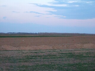 Obraz premium Look around in the twilight 