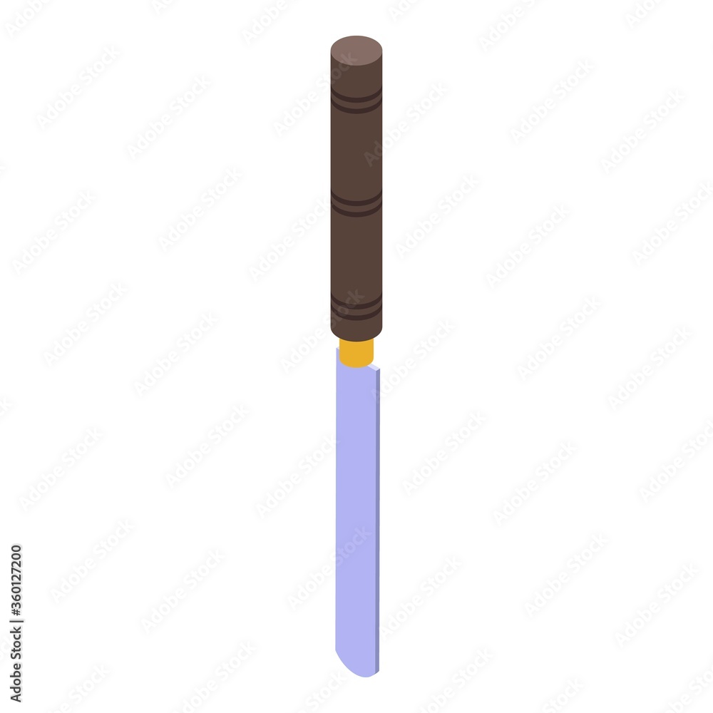 Poster Craft chisel icon. Isometric of craft chisel vector icon for web design isolated on white background