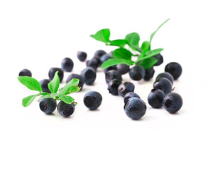 Heap of blueberry with leaves isolated on a white background.