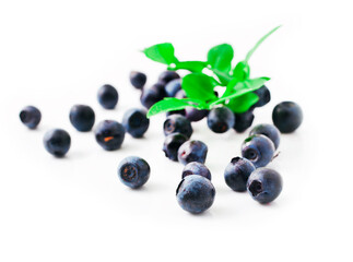 Heap of blueberry with leaves isolated on a white background.