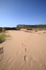 footprints on the beach