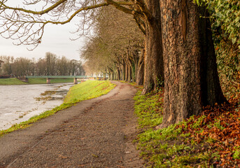 Fototapete bei efototapeten.de bestellen   