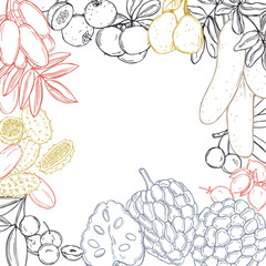 Hand drawn African fruits. Vector background. Sketch illustration.