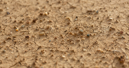 Part of a Huge Area of Dried Land Suffering from Drought - in Cracks