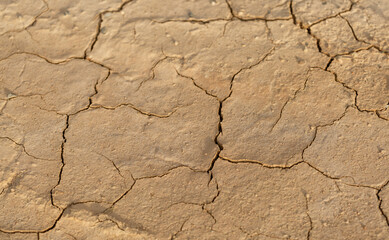 Part of a Huge Area of Dried Land Suffering from Drought - in Cracks