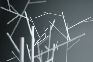 White branch
