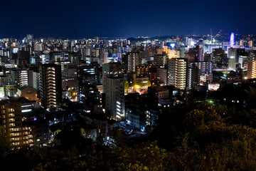 Obraz premium 城山より見る鹿児島市街地の夜景 