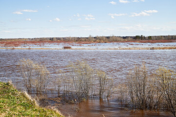High water on a river or on a lake in sunny spring day