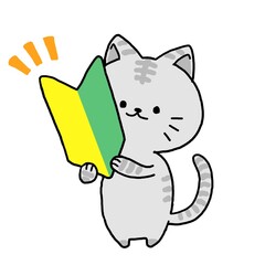 Cat with a beginner mark