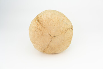 Fototapeta premium Tropical fruit coconut isolated on white background. 