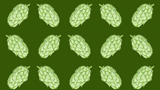 hop sprout pattern, ideal footage for themes such as craft beers, natural products and alcoholic beverages