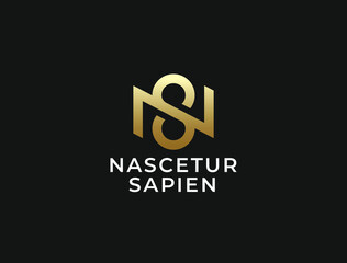 NS or SN. Monogram of Two letters A&N or N&S. Luxury, simple, minimal and elegant NS, SN logo design. Vector illustration template.