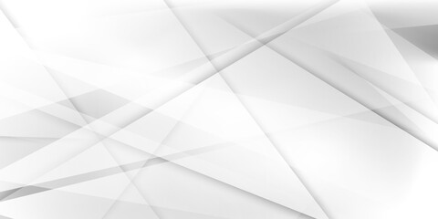 Obraz premium Streszczenie szare białe tło plakat z dynamicznymi falami. sieć technologii ilustracji wektorowych.