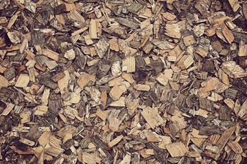 vintage photo wood slivers for texture background leave for copy text space