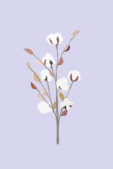 Ilustración digital de planta de algodón sobre fondo morado. Gossypium.