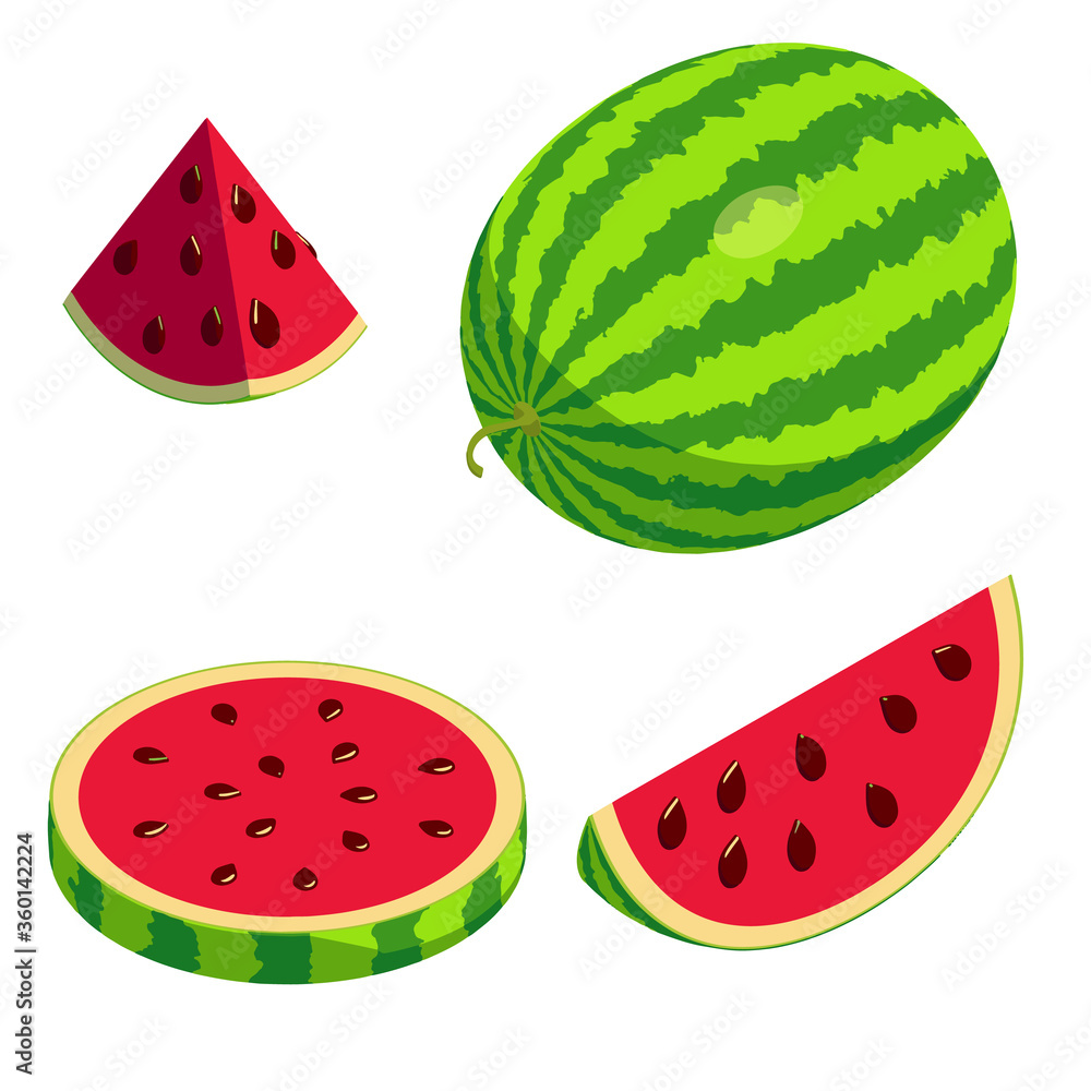 Poster watermelon icons set. isometric set of watermelon vector icons for web design isolated on white back