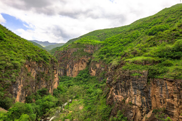 Fototapeta premium trees and grass in rocks