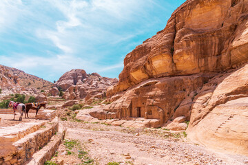 Fototapeta premium Canyon.