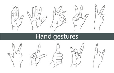 Popular hand gestures. Set of vector gestures. Gestures okay, cool, give five. Hand finger icon on a white background. Sign language. Design for logos, stickers, t-shirts, web.