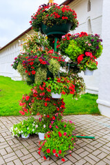 Iron stand with many flower pots with different blooming flowers