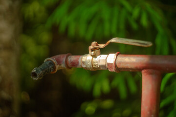 Water tap in the garden, in the background spruce branches in a blur
