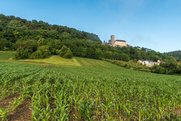 Fototapeta na wymiar Guttenberg Castle in Neckar Valley, Baden-Wuerttemberg, Germany