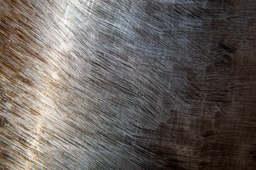 Rusty metal surface close up