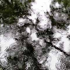 Wassertropfen im See