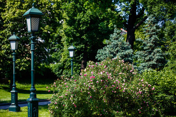 Lanterns in the city garden