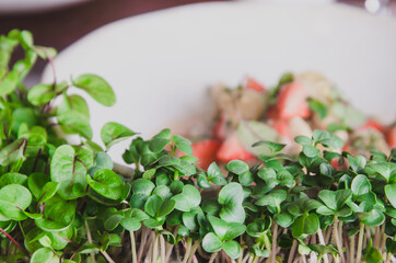 Healthy eating concept of fresh garden produce organically grown as a symbol of health and vitamins...