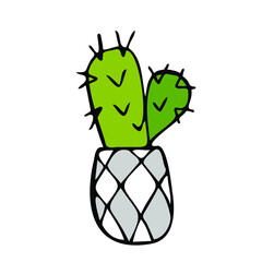 Hand drawn cactus in a checkered flower pot