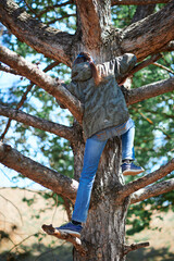 Girl playing outdoor, climbing a tree, bright sunlight, beautiful day