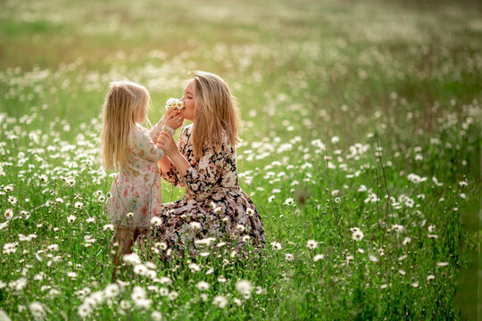 Beautiful young mother with her daughter on a field with daisies sunset sun, life style, concept of motherhood, walk in the park or in nature. - Powered by Adobe