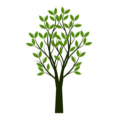 Fototapeta premium Green Tree with Leaves. Vector outline Illustration. Plant in Garden. EPS file. 